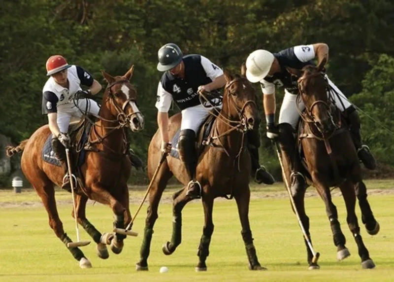 1734410042545.jpeg?w=800&q=100&f=webp