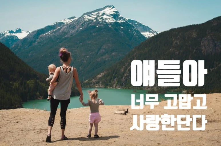 SE-8087db06-0a55-49d0-857c-a8b50907476a.jpg?type=w773