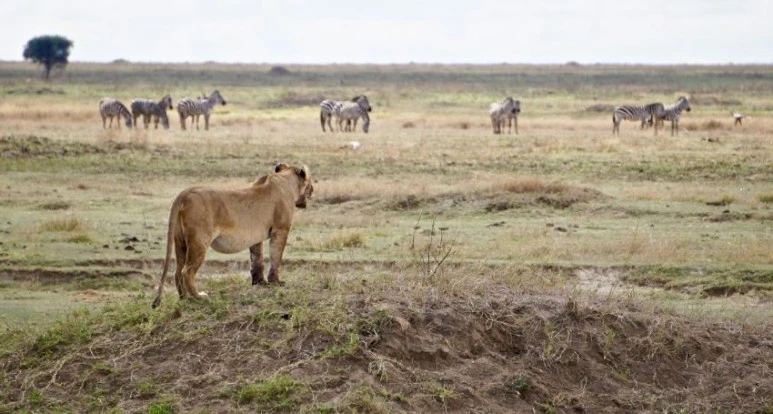 %EC%8B%B1%EA%B8%80%EB%A7%98_%EC%8B%A4%ED%8C%A8_%EC%84%B1%EA%B3%B5_%EB%A9%98%ED%83%88_%EC%9E%90%EB%A6%BD_4.JPG?type=w773