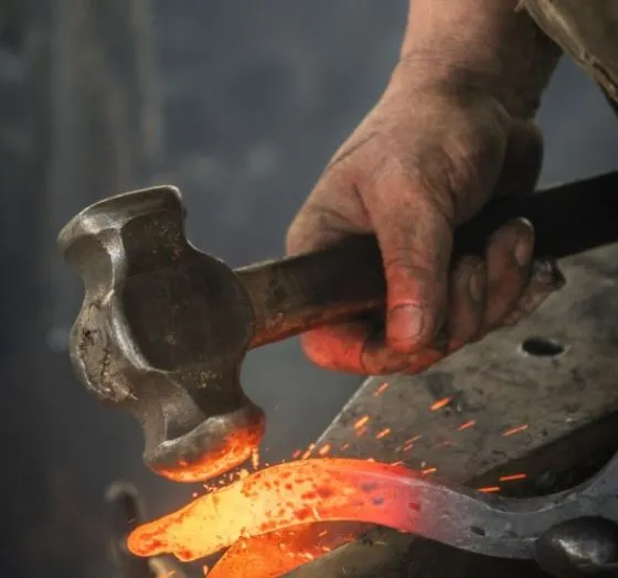 %EB%8B%B4%EA%B8%88%EC%A7%88.JPG?type=w773