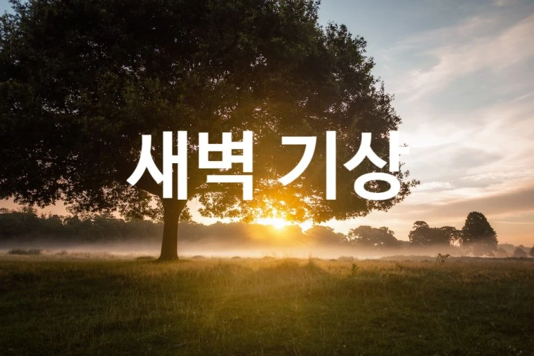 SE-e50ccaa9-4224-407e-80ff-8b2649a3ff97.jpg?type=w773