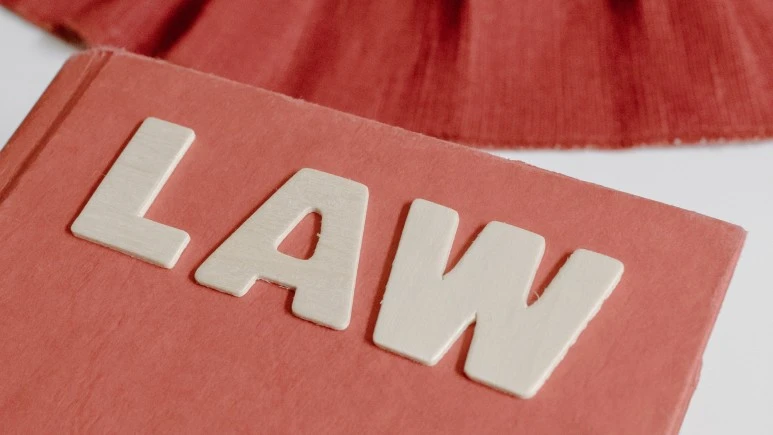 SE-0ee972dd-6093-4436-91d0-331c4ea7d0ed.jpg?type=w773