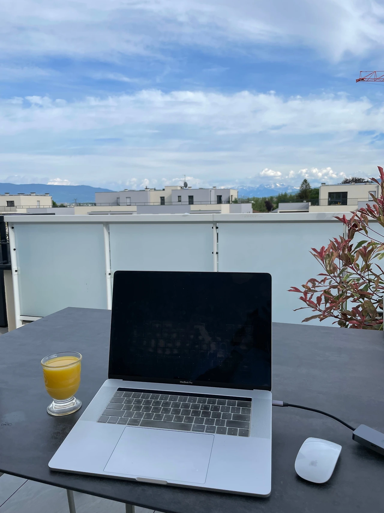 KakaoTalk_Photo_2022-07-11-12-12-24 009.jpeg