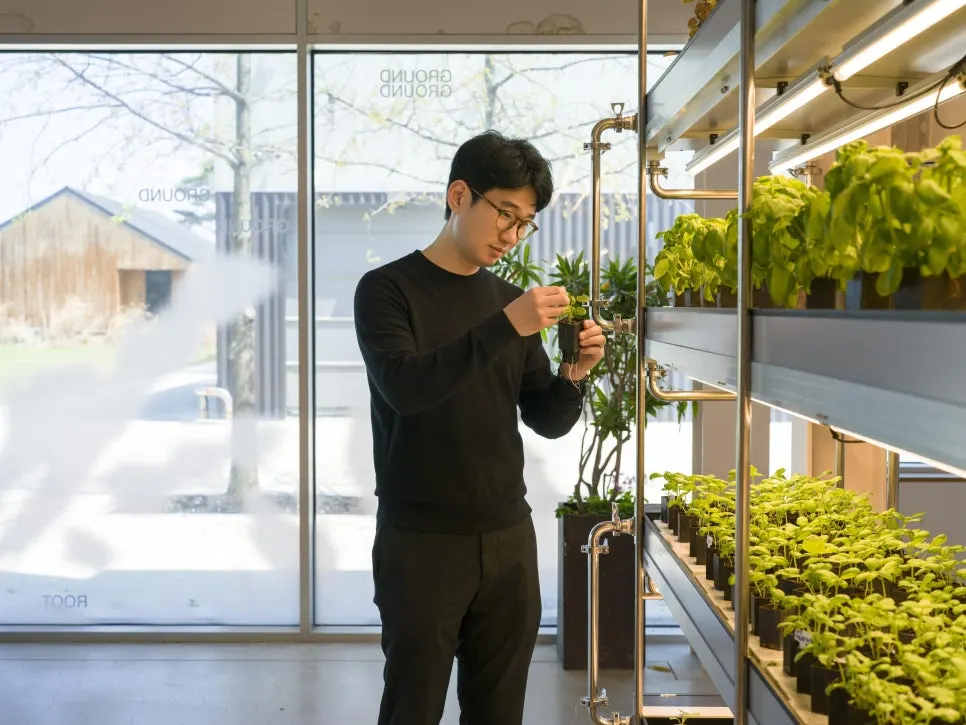 B0007454.jpg?type=w966