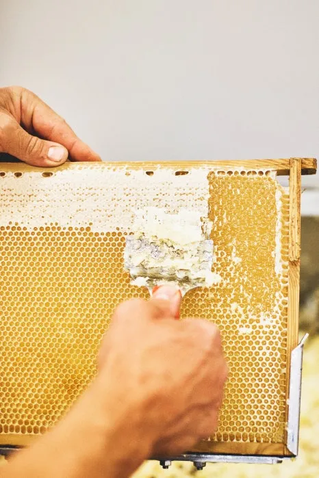 danish_beekeepers_11.jpg?type=w466