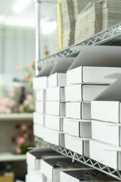 _DSC7319.jpg?type=w466