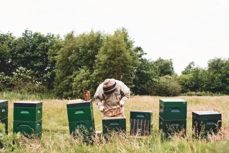 danish_beekeepers_05.jpg?type=w466