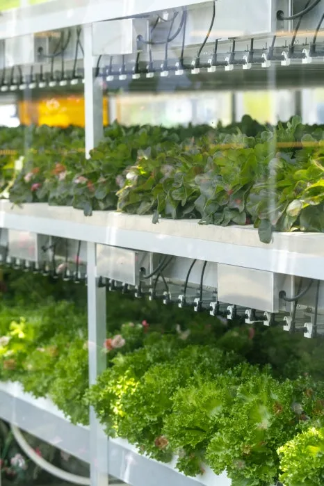 DSC05374.jpg?type=w466