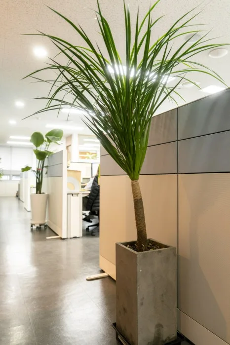 _DSC5902.jpg?type=w466