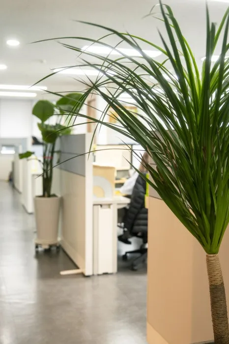 _DSC5905.jpg?type=w466