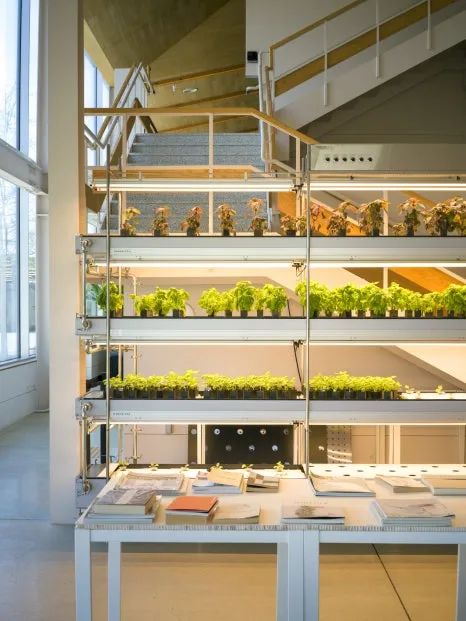 B0007442.jpg?type=w466