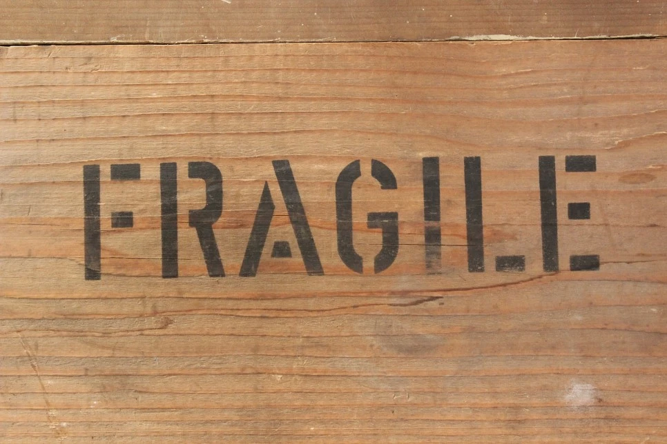 fragile-gdd5aa5ce0_1920.jpg?type=w966