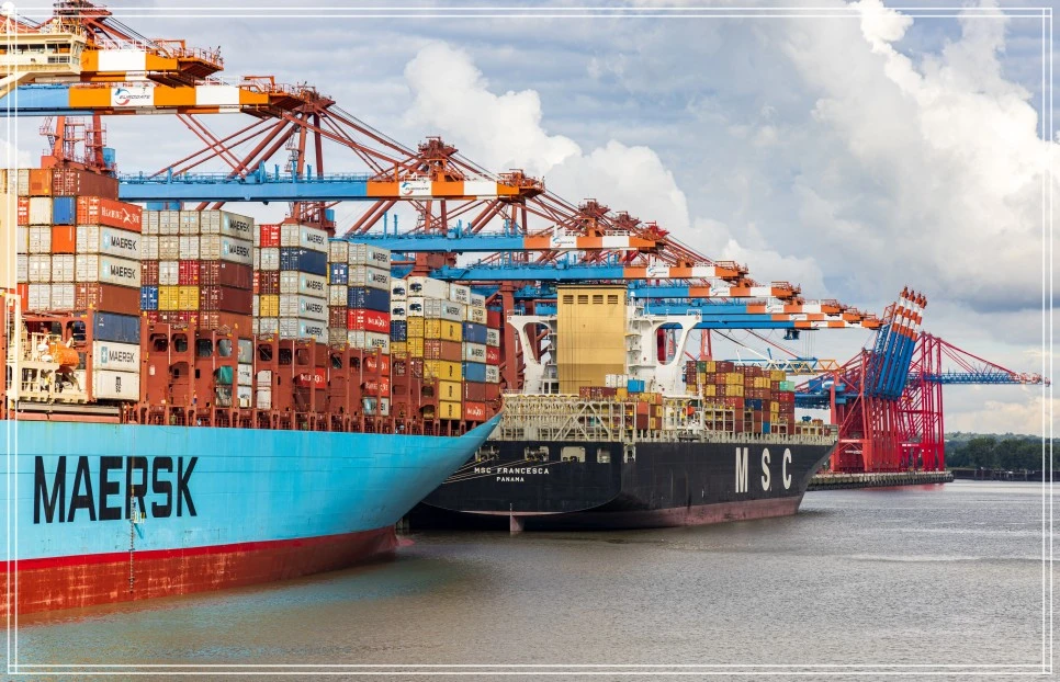 %EA%B3%A0%EC%9A%A9%ED%95%9C%ED%8C%8C_%EC%8B%9C%EB%8C%80_%EC%B2%AD%EB%85%84%EC%B7%A8%EC%97%85_2.jpg?type=w966