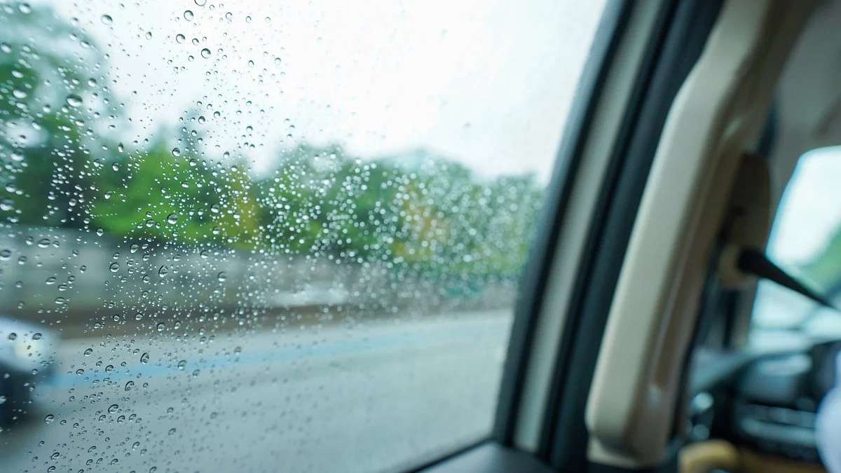 8.%EB%B9%97%EA%B8%B8%EC%97%90%EC%84%9C%EB%8F%84_%EC%95%88%EC%A0%84%EC%9D%84_%EC%B5%9C%EC%9A%B0%EC%84%A0%EC%9C%BC%EB%A1%9C_%EC%83%9D%EA%B0%81%ED%95%98%EB%8A%94_%ED%8C%8C%ED%8C%8C%ED%81%AC%EB%A3%A8.jpg?type=w1200