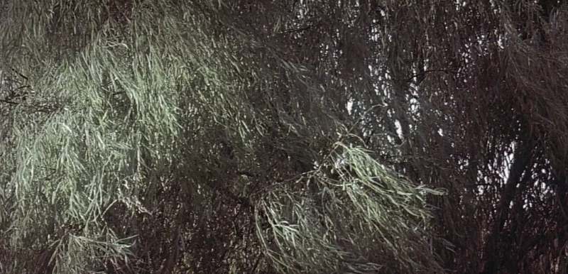 %EC%9D%B4%EB%AF%B8%EC%A7%80_4.png?type=w800