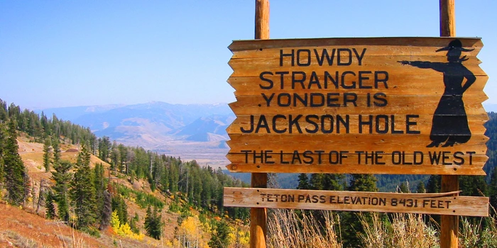 5d5db10021214c2113113079?width=700