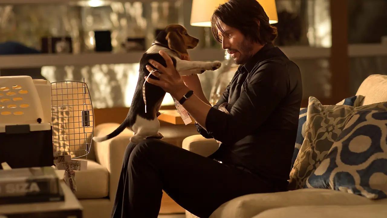 635494961822000008-BEAGLE-JOHN-WICK-MOV-JY-3400--68084492.JPG?width=3200&height=1808&fit=crop&format=pjpg&auto=webp