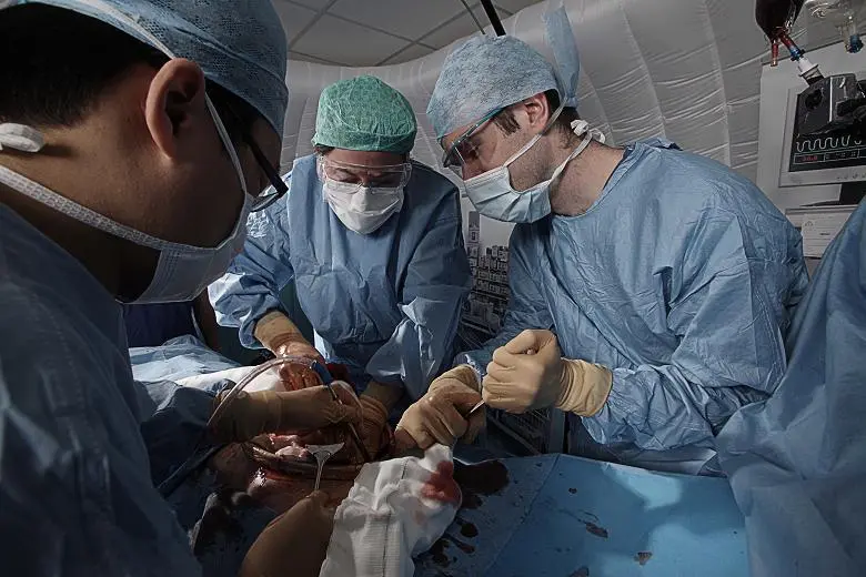 %2Fmethode%2Ftimes%2Fprodmigration%2Fweb%2Fbin%2F02256775-178a-326a-b446-6307cd83b415.jpg?crop=780%2C520%2C0%2C0