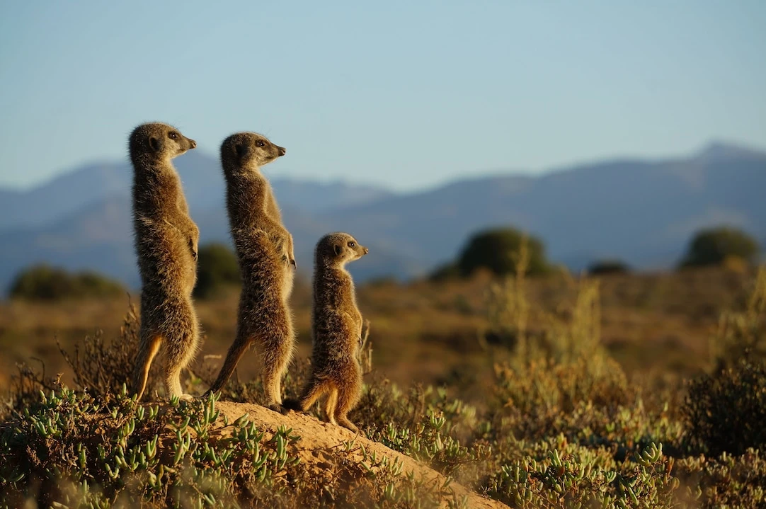 5842141.jpg?wp=1&w=1084.125&h=719.25