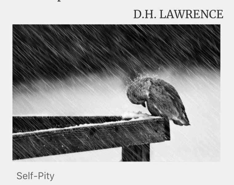 1735779245200?e=2147483647&v=beta&t=V0KvWcaPBAFUuPnjw5pZcHELIF9maDPTTwuZxa3eW68