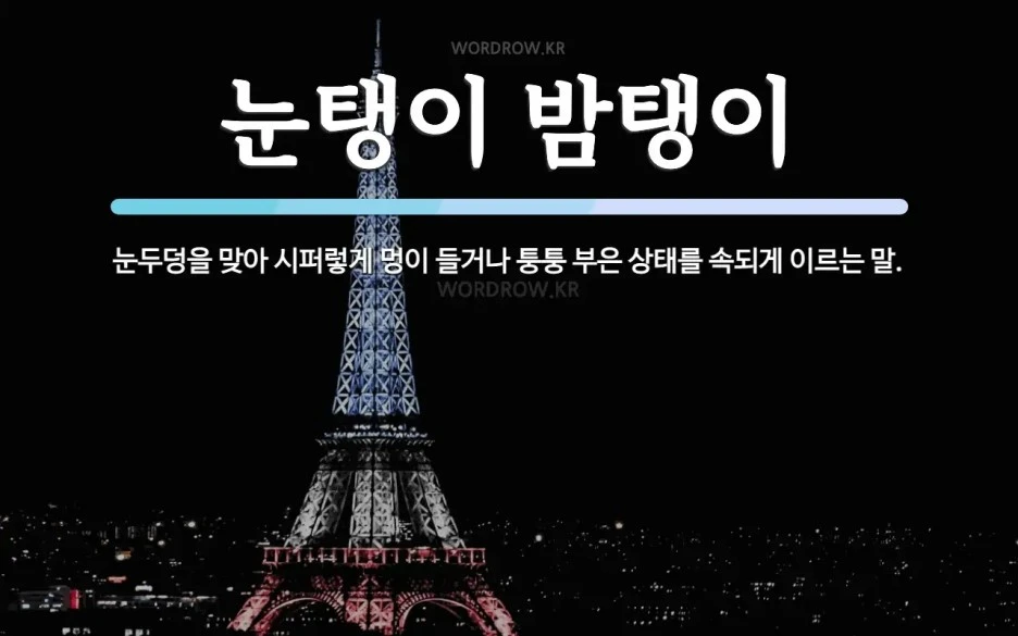 %EB%88%88%ED%83%B1%EC%9D%B4%EB%B0%A4%ED%83%B1%EC%9D%B4_1.jpg?type=w1