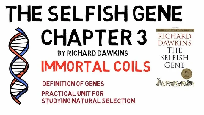 hq720.jpg?sqp=-oaymwEhCK4FEIIDSFryq4qpAxMIARUAAAAAGAElAADIQj0AgKJD&rs=AOn4CLCPqSyNSjGyccHs1Xm_-B2hBxWVFg