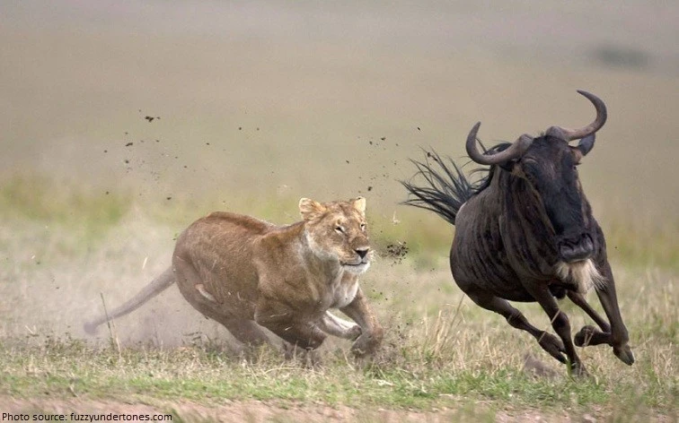 1527082207760?e=2147483647&v=beta&t=mbSH12QaSgWH4Wr4XFaY4dbPTMrcMzKHboRirT8l0Gg