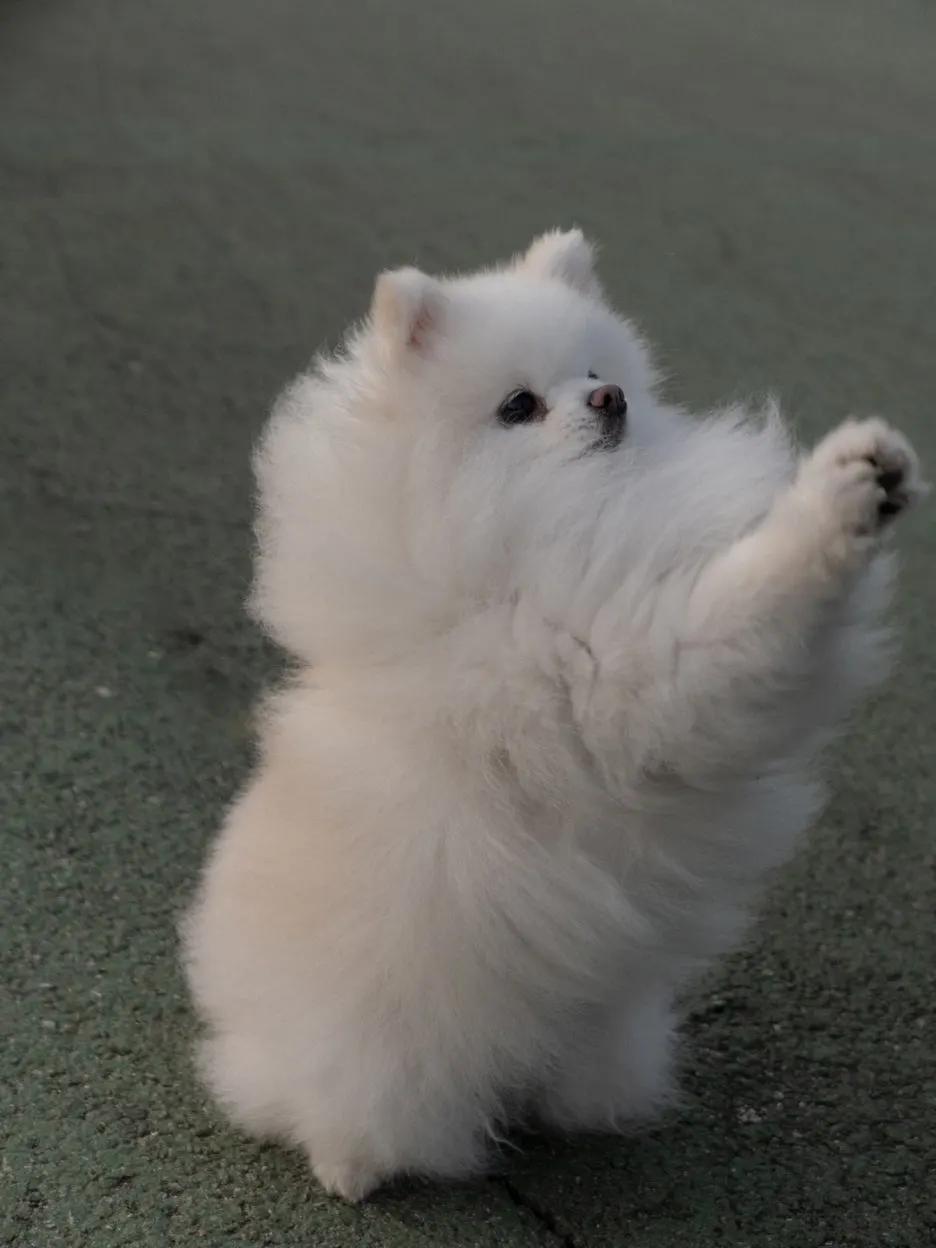 KakaoTalk_20250419_222349221_01.jpg?type=w1