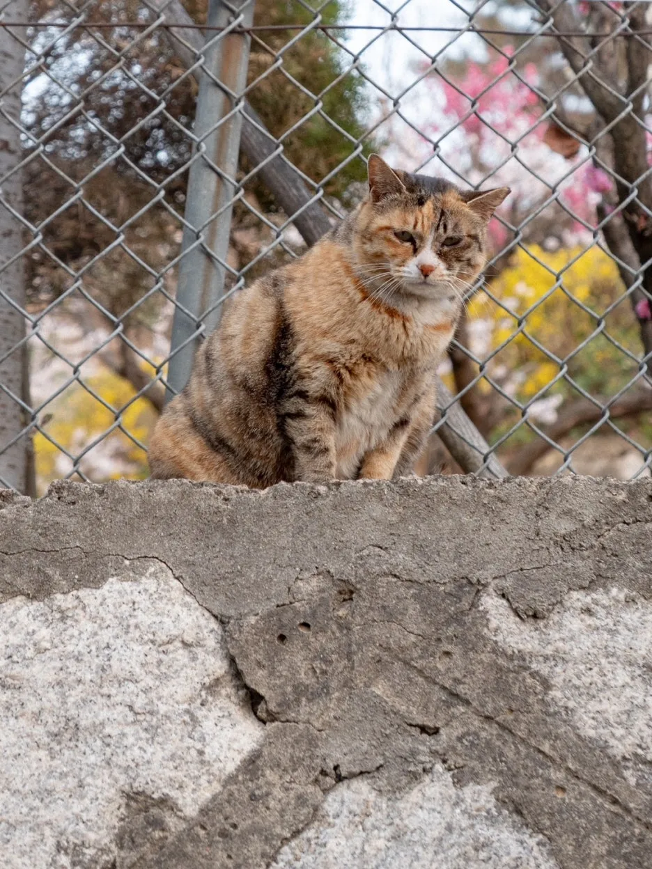 KakaoTalk_20250419_222349221_02.jpg?type=w1