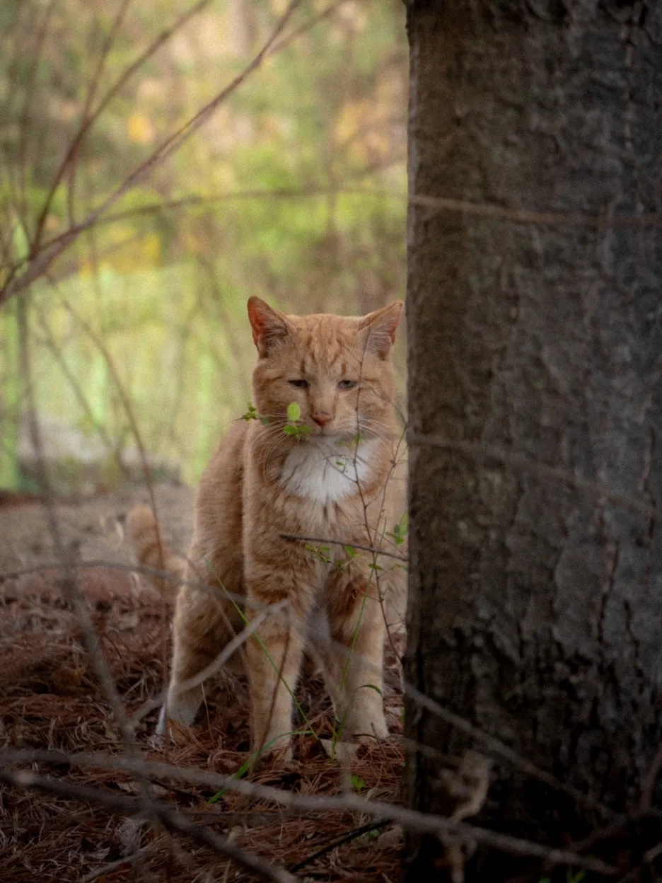 KakaoTalk_20250419_222244426.jpg?type=w1