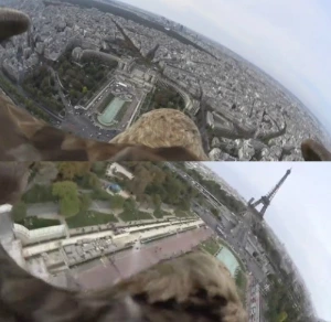 ?src=http%3A%2F%2Fimgnews.naver.net%2Fimage%2F396%2F2014%2F10%2F06%2F20141006002882_0_99_20141006164507.jpg&type=sc960_832