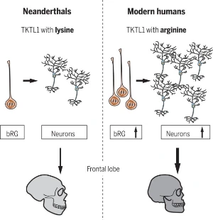 ?src=http%3A%2F%2Fimgnews.naver.net%2Fimage%2F030%2F2022%2F11%2F14%2F0003058817_003_20221114070101188.jpg&type=sc960_832