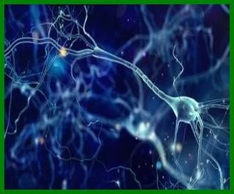 ?src=http%3A%2F%2Fblogfiles.naver.net%2FMjAyMzExMTdfNDkg%2FMDAxNzAwMTU5ODE3Mjkw.f4L216z87dn5tW36RSTCurg3wE34Z444KmB6W5vEKE4g.DfZCgbVavgysYcEl5WVBMeEn8NzPZ_YVf8l_nNFY9j8g.JPEG.parkyem902%2F0.jpg&type=sc960_832