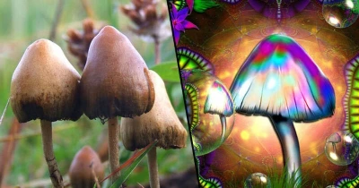 ?src=http%3A%2F%2Fblogfiles.naver.net%2FMjAxNzEwMjBfMjYg%2FMDAxNTA4NDk5Nzc3ODA0.N1M4PAcwfCXoqYOwzfP6eweKFL8KPmcHURhqfZHILWog.pySD_SQQMicI8F8vIZdS1sfEPVUquNYfBRwg6gs6iFAg.JPEG.kaspang%2FSmartSelectImage_2017-10-20-20-42-46.jpg&type=sc960_832