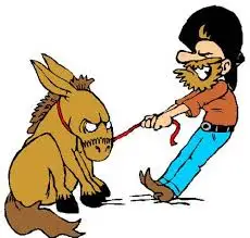 images?q=tbn:ANd9GcTOaVcNoehXY-nl94LPELEegKnxaIjeuQgNuA&s