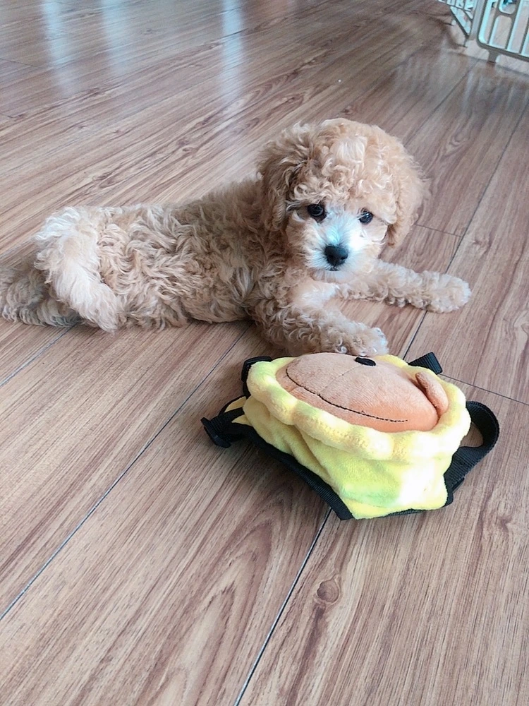 beauty_1664077602241 2.JPG