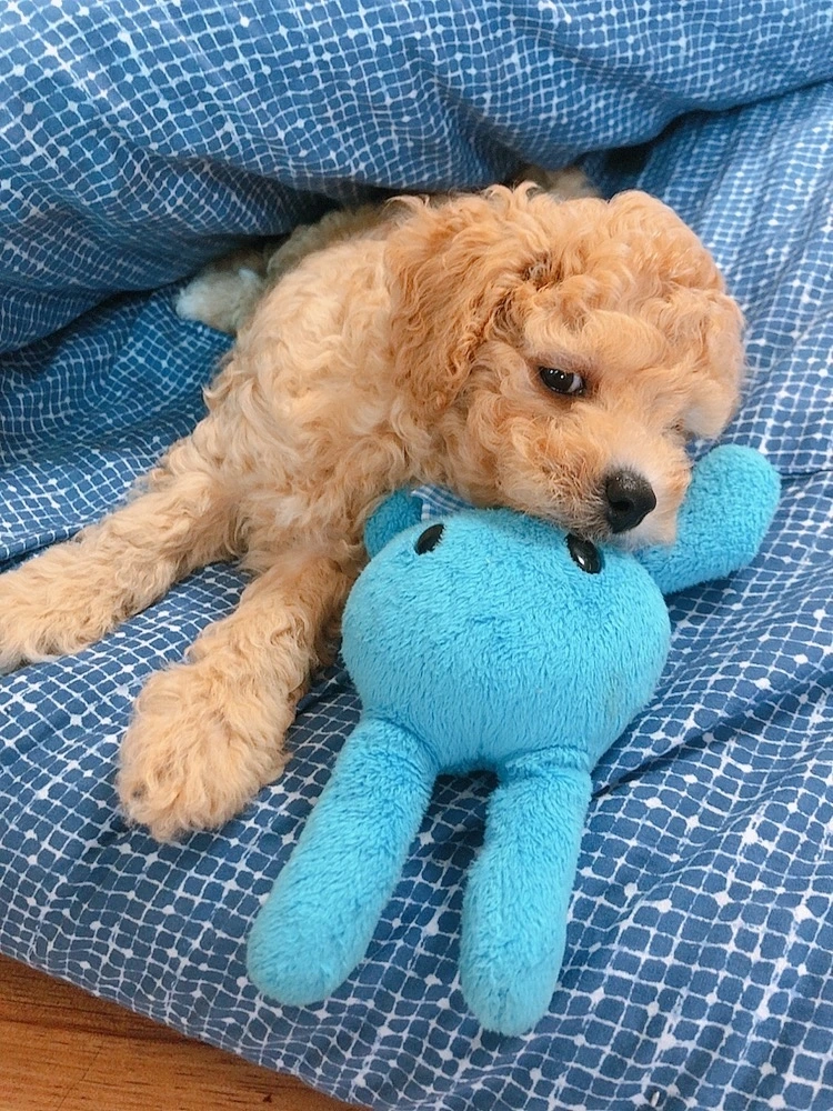 beauty_1662955864380 2.JPG