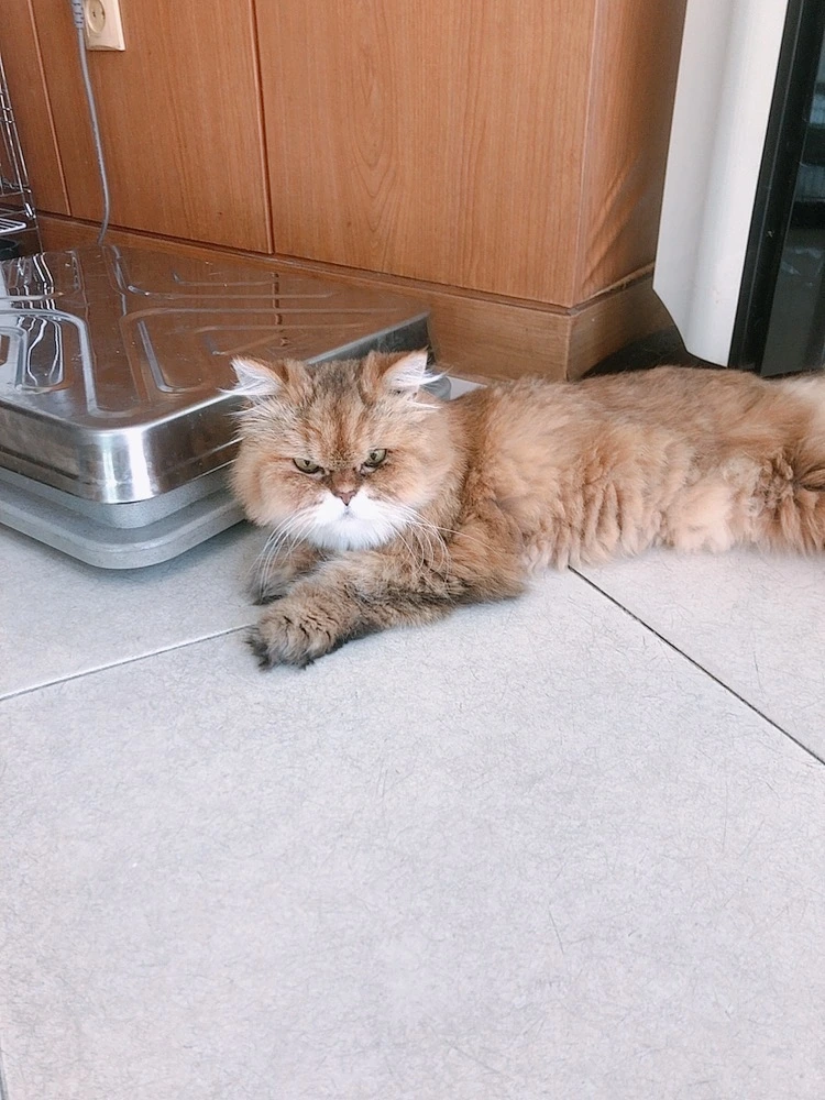 beauty_1665813535388 2.JPG