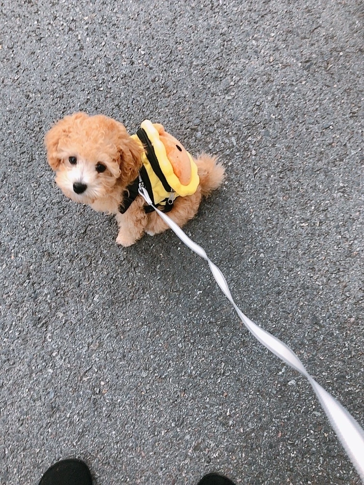 beauty_1665565032528 2.JPG