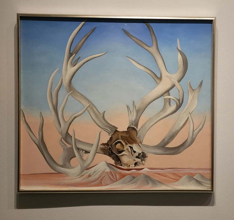 SE-5f7bd2ec-3ac9-4b04-af05-b48e5556bd5f.jpg?type=w1