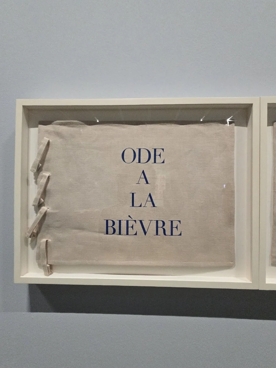 20250906_170009.jpg?type=w1