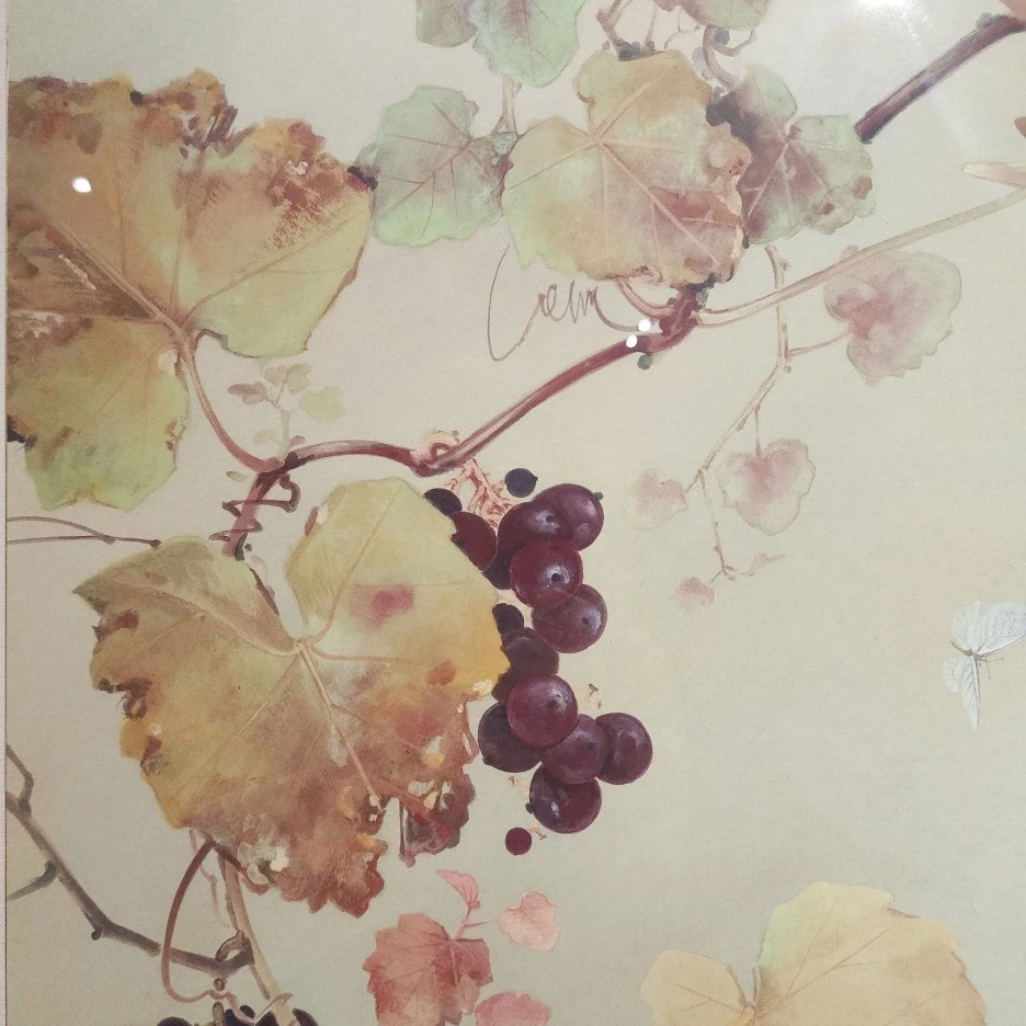 20230715_131518.jpg?type=w1