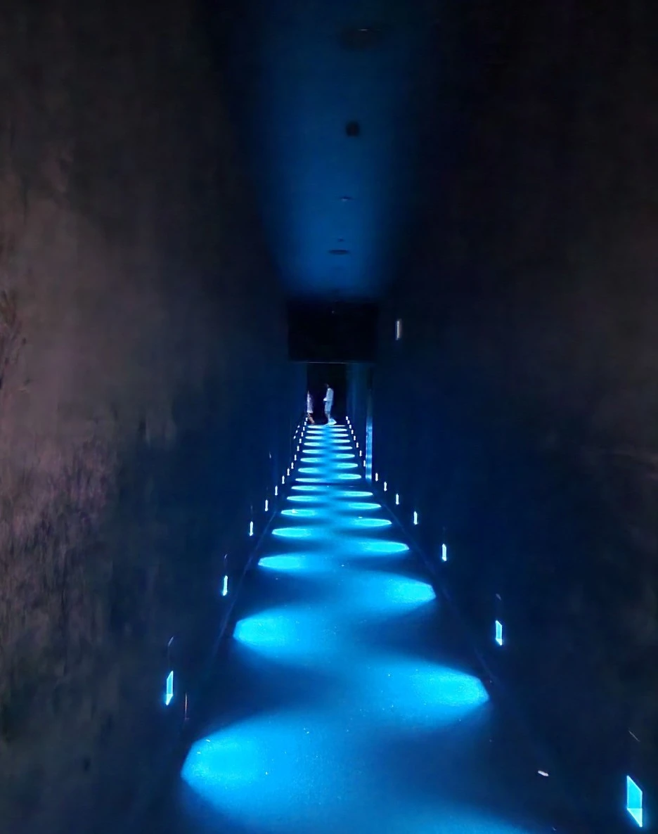 SE-56fb8958-9596-4e81-802f-99160ffdaf5a.jpg?type=w1