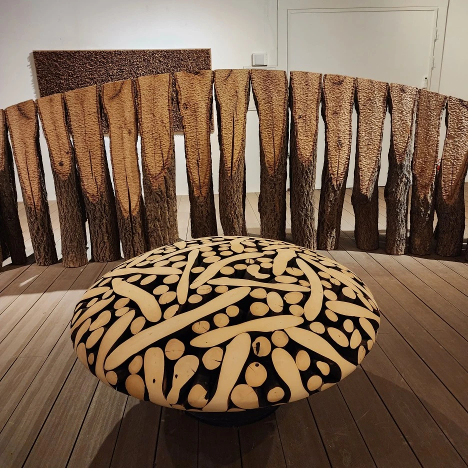 20221030_113710.jpg?type=w1