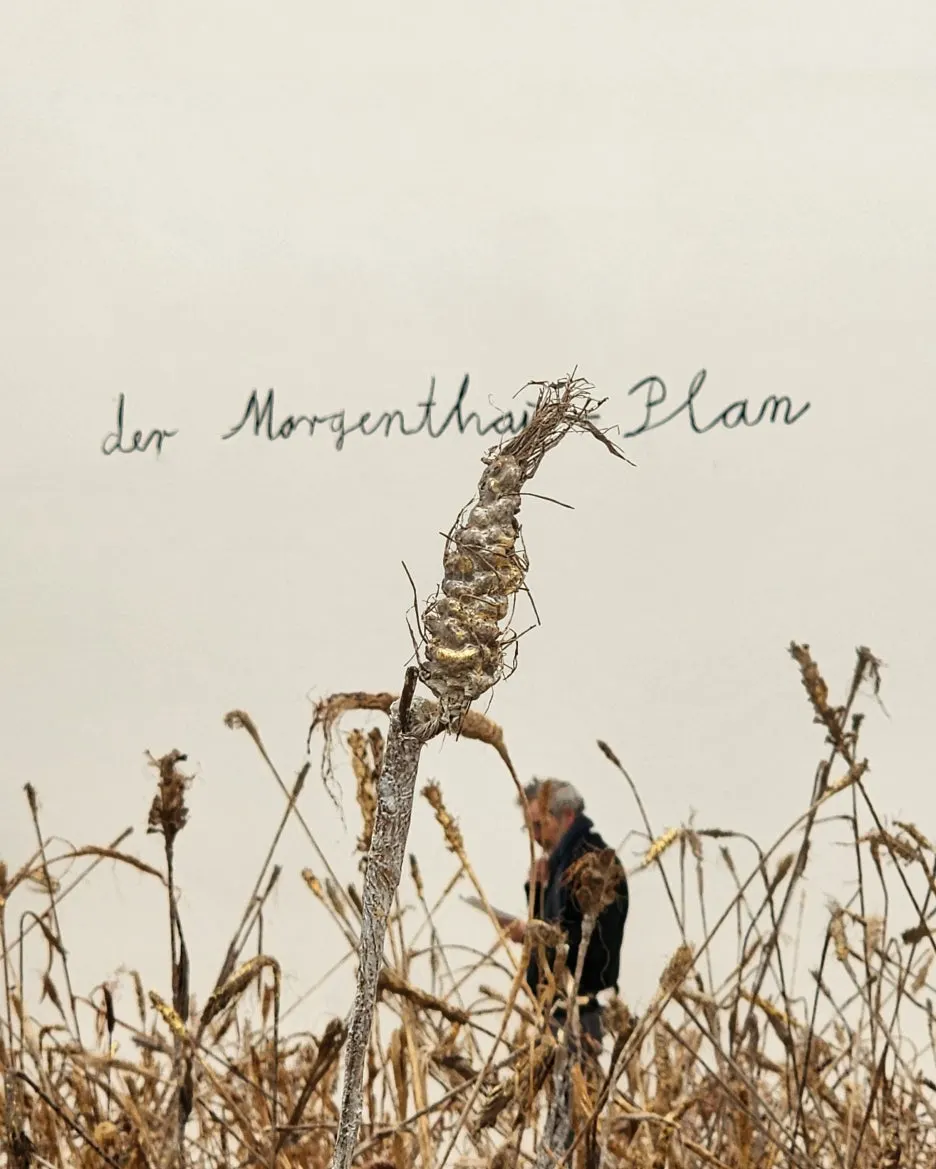 SE-1f8db158-e598-448b-bda0-d1a0fa19ec64.jpg?type=w1