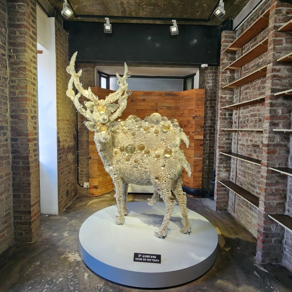 SE-ffe6f462-a176-4707-b5a7-ce551182da91.jpg?type=w1