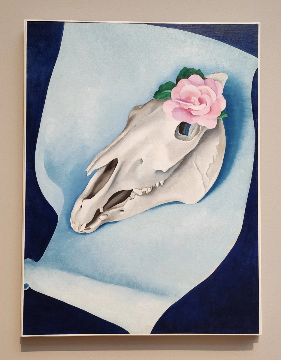 SE-36c2ed32-1b85-4338-87f8-9d135dead563.jpg?type=w1