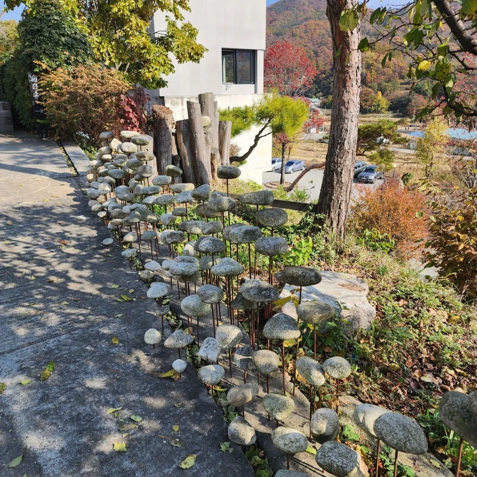 20221030_113144.jpg?type=w1