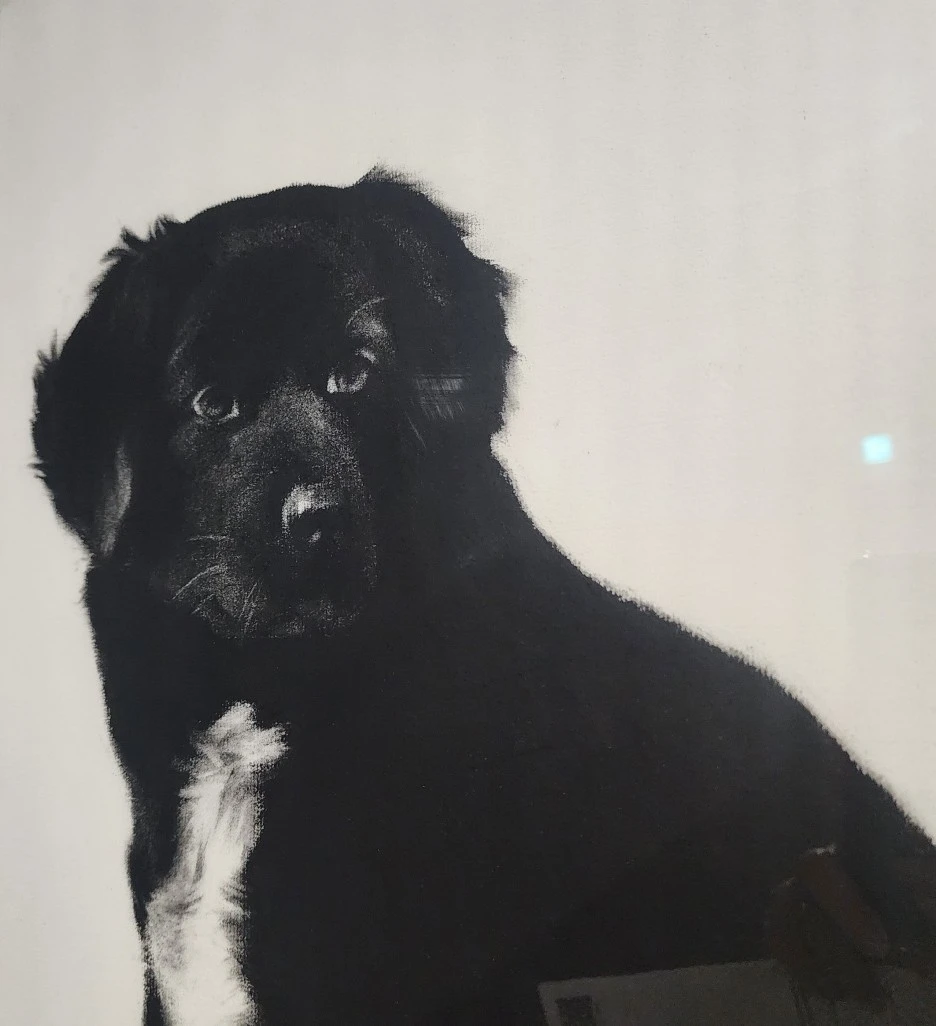 SE-05302c5a-ae95-422b-89bb-542a0fbec557.jpg?type=w1