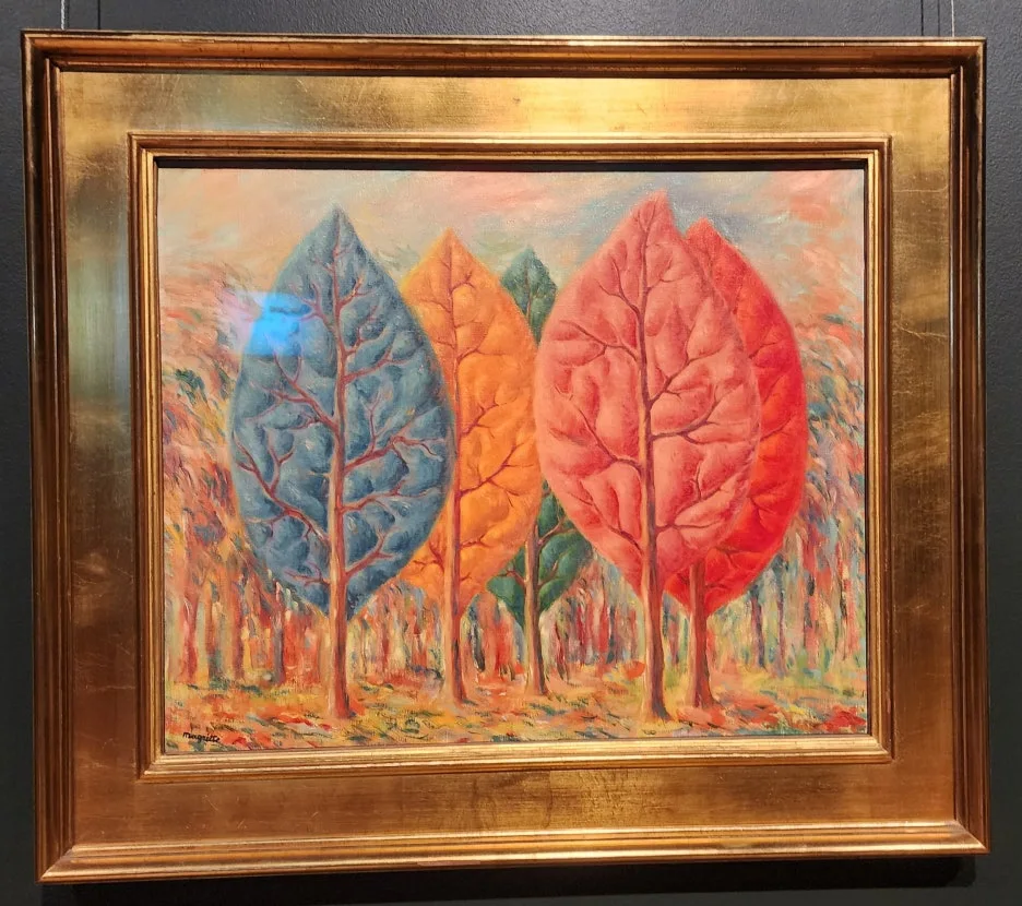 SE-a735d06e-1857-4ebe-9f68-8dc40e02c56a.jpg?type=w1